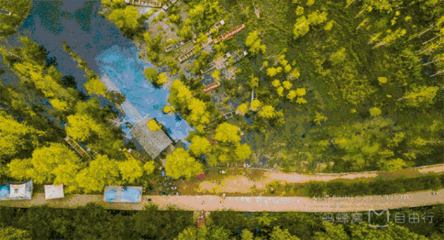 1561091916177718.gif 微信图片_20190621123347.gif