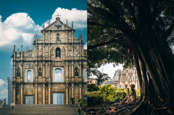 1678414427448227.png image.png