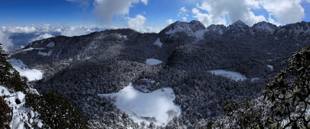 1709963545465267.png 640.png