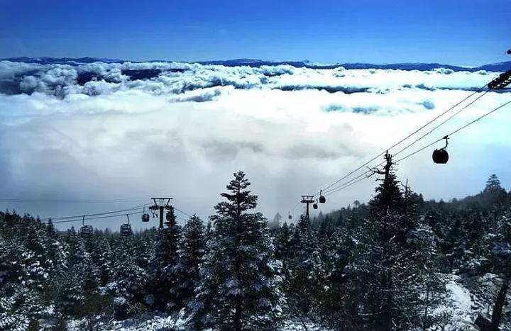 1606803232966514.jpg saa.jpg