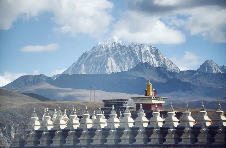 1600158224970110.jpg 130e8d5f7e8075d39c41ff22b4e48d70.jpg!730x0.jpg