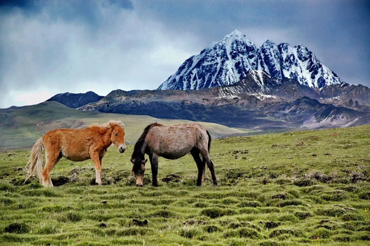 1600158527516523.jpg ffa0bf85817b22a81900b5f1889e8254.jpg!730x0.jpg