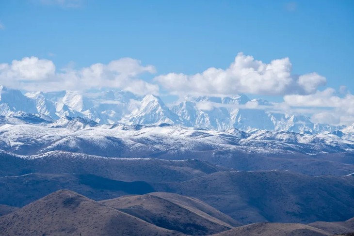 1600158549878817.jpg e099a7c57094770c90fa4fe21dfe4187.jpg!730x0.jpg