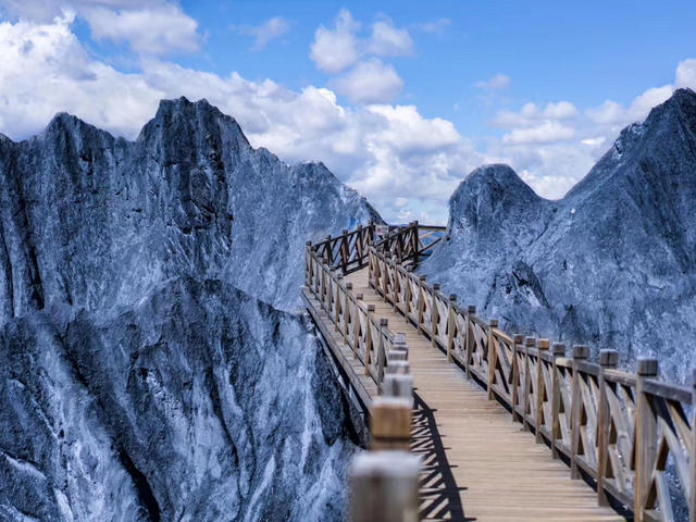 1605080102529639.jpeg 6e841b29-68a3-4095-96b0-cb2a00696b85.jpeg