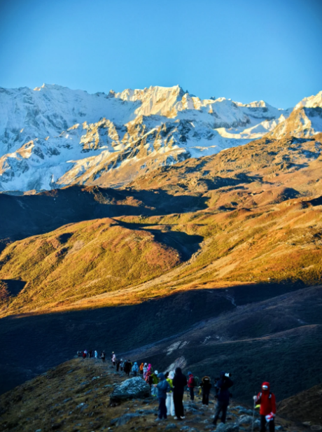 1733894868306924.png cf72bf6e3de44e8de921dab3cb45509.png