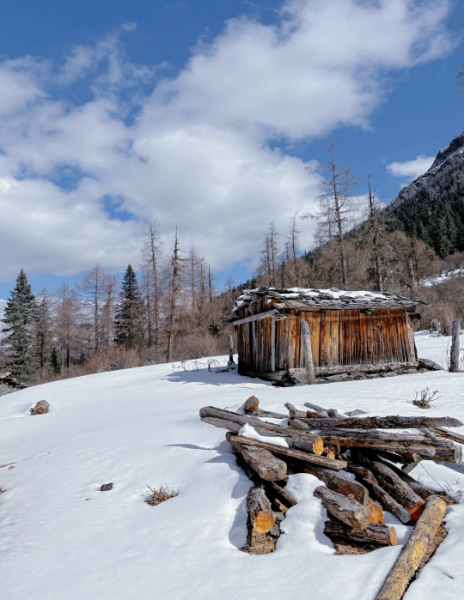 1764922752953184.png 1a9964f21bcae056bb24d8bfd62d6a2.png