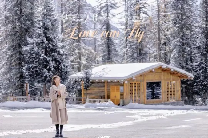 1701076159985492.png image.png