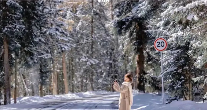 1701076169720016.png image.png