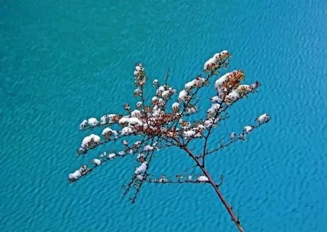 1702012917872706.jpg 640.jpg