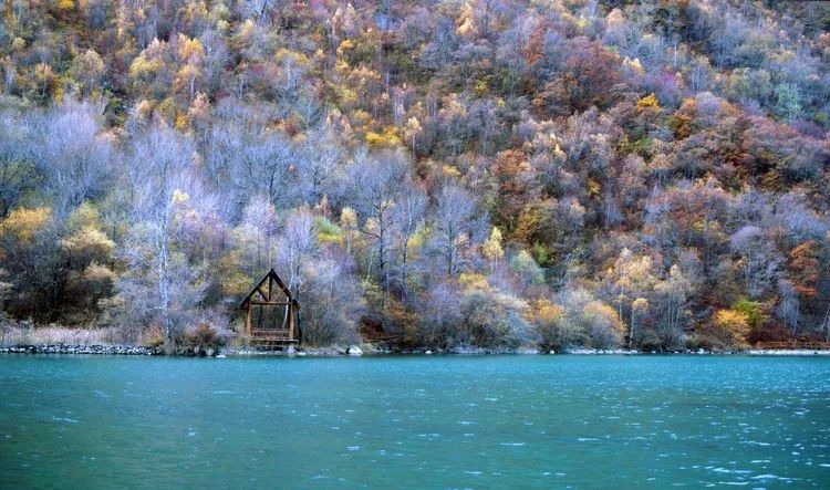 1702013088261254.jpg 640 (9).jpg