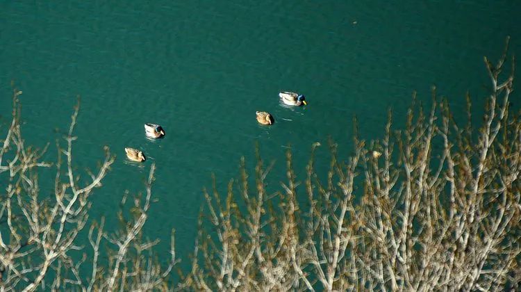 1702013095733555.jpg 640 (10).jpg