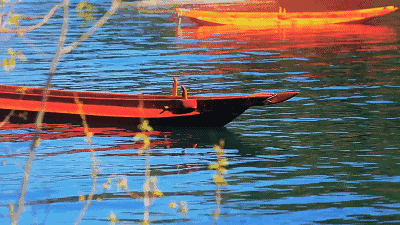 1577934455114019.gif timg (3).gif