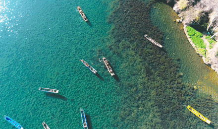 1577934261681428.gif timg.gif