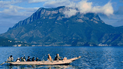 1577934354860505.gif timg (2).gif