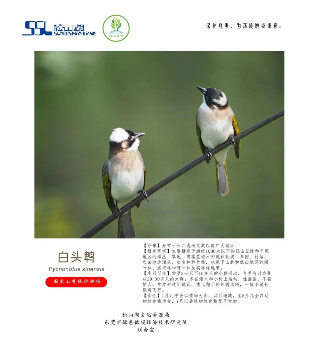 356c8a07a538848efda4aeb4775bf74.png