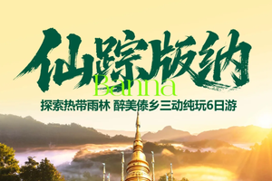 国庆！动车往返！【仙踪版纳6天】昆明 抚仙湖 野象谷 原始森林公园 中科植物园 傣族园休闲6日游