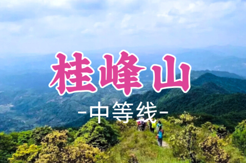 即将成团！79元起！阿七领队！周二10.20【桂峰山9公里】桂峰柿子桂满枝头，轻松打卡千米高峰