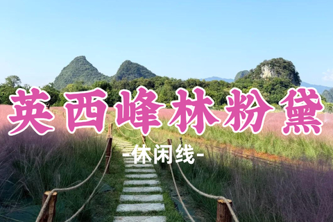 即将成团！89元起！中秋9.27【英西峰林粉黛】广东秋日限定！喀斯特峰林下的粉黛花海