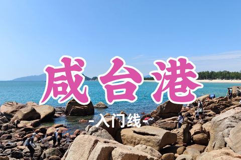 嘉禾望岗集合！即将成行！99元起！周日11.1【咸台港8公里】穿越惠东咸台港小众原始海岸线，攀爬礁石，醉美海湾拾贝壳 