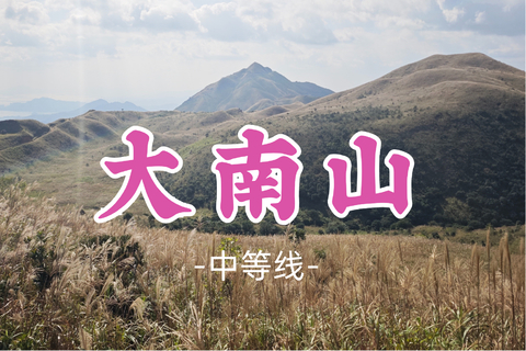 芦苇花开了！即将成团！99元起！周日11.1【大南山13公里】大南山芦苇草原，广东版