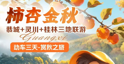 秋假！11.11/12/13，动车往返！【杏柿金秋】恭城+灵川+桂林三地联游