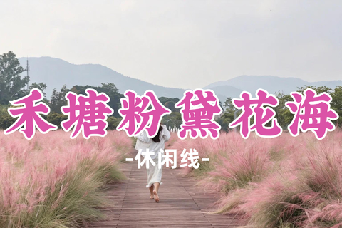 新线！即将成团！89元起！周日11.1【禾塘粉黛花海】7000㎡禾塘粉黛花海 + 600 年大鹏所城一日休闲游 