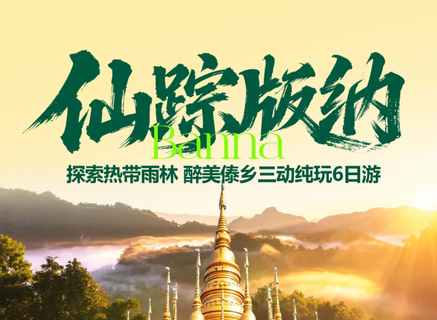 成团！暑假！【仙踪版纳6天】昆明 抚仙湖 野象谷 原始森林公园 中科植物园 傣族园休闲6日游