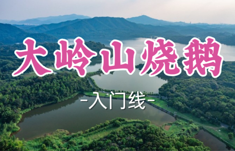 即将成团！69元起！周六7.18【大岭山烧鹅11公里】同佛线徒步，荔枝柴烧鹅