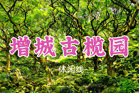 即将成团！69元起！简单领队！中秋9.27【增城古榄园7.5公里】探秘魔幻森林，品非遗美食