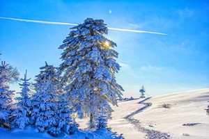《老爷岭》登山 · 赏最美高山雪景一日游