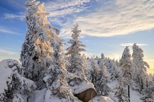 2月20日《生菜顶子-东塔子-小坡》新春踏雪生财、登山一日游