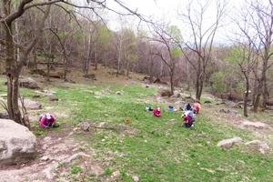 《西海瑶台》登山赏冰凌花挖野菜一日游
