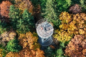 【10.1-10.3】伊春小兴安岭赏秋之旅精品大巴团｜醉美五花山来袭，一起去森林里找个家