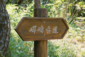 【6.10】号杨梅修改方案军嶂古道轻徒步6km+采杨梅 