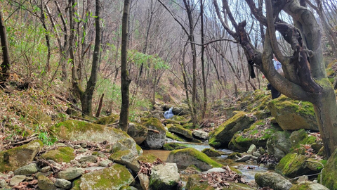 向山B2级·9.16（周三）：伏牛山白鹰河徒步，捡板栗（会员专属，探线小团）