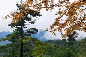 山居2日·10.5-6：山河已秋|人间仙境——嵩县白云山，赏伏牛秋色