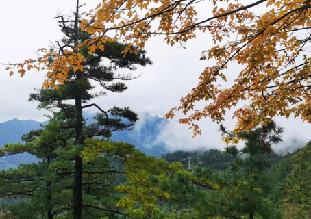 山居2日·10.21-22/24-25（郑州出发）：山河已秋|人间仙境——嵩县白云山，赏伏牛秋色