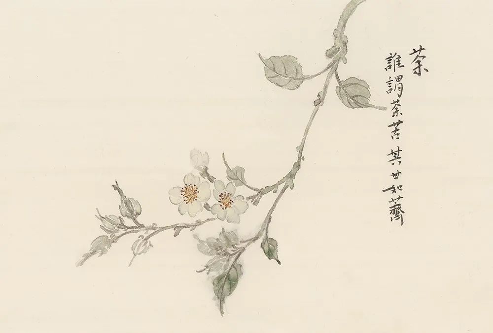 YLib 遠流博識網- 遠流網路書店