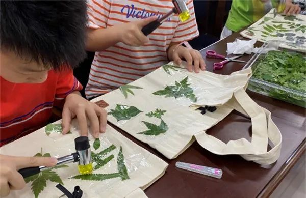 带着小朋友们体验植物敲拓染：感受同自然的亲密交流-湖南频道