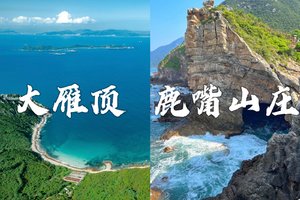 4.6成团，特价58起  登顶大雁顶、打卡《美人鱼》拍摄地、徒步杨梅坑环海绿道一天