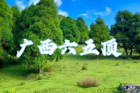 【强推】8.15晚-8.16，周六夜爬六五顶，广西版阿勒泰新疆那拉提