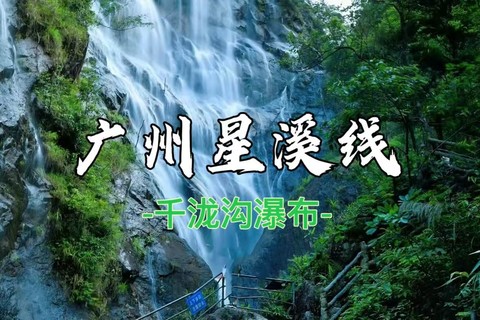 8.9周日 从化星溪线竹林休闲徒步，品竹筒饭，逛古集市，赏千泷沟赏大瀑布