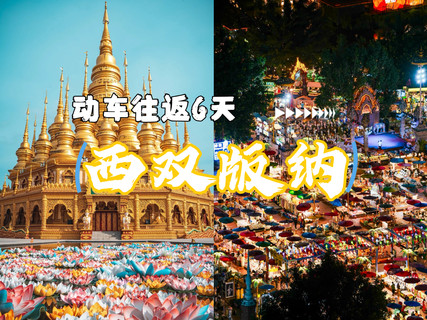  天天出发【西双版纳6天】昆明 抚仙湖 野象谷 原始森林公园 中科植物园 傣族园休闲6日游