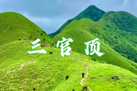 成团，特价198起，8.8晚-8.9夜爬茂名三官顶，堪称粤西“武功山”，看草原牛群.蹲日出云海