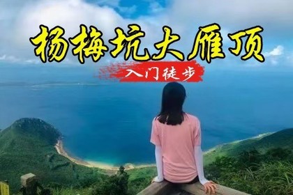 转发25元起！买一送一【杨梅坑&大雁顶】登大雁顶3号观景台，不爬山就去美人鱼拍摄基地