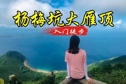 转发25元起！买一送一【杨梅坑&大雁顶】登大雁顶3号观景台，不爬山就去美人鱼拍摄基地