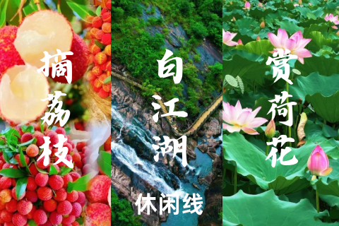转发55元起！买一送一【摘荔枝+赏荷花】增城摘荔寻芳、莲塘村荷塘遇初夏、玩转广东小九寨白江湖森林公园