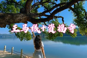 东莞【同沙王马线】+打卡资福寺---自驾/活动群拼车