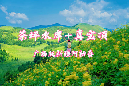 已成团！【茶坪水库】7.4-7.5号周末两天，真宝顶+茶坪水库 草甸花海美到窒息，广西 “阿勒泰”