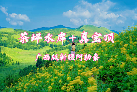 已成团！【茶坪水库】7.4-7.5号周末两天，真宝顶+茶坪水库 草甸花海美到窒息，广西 “阿勒泰”